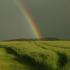 Regenbogen trifft Feld