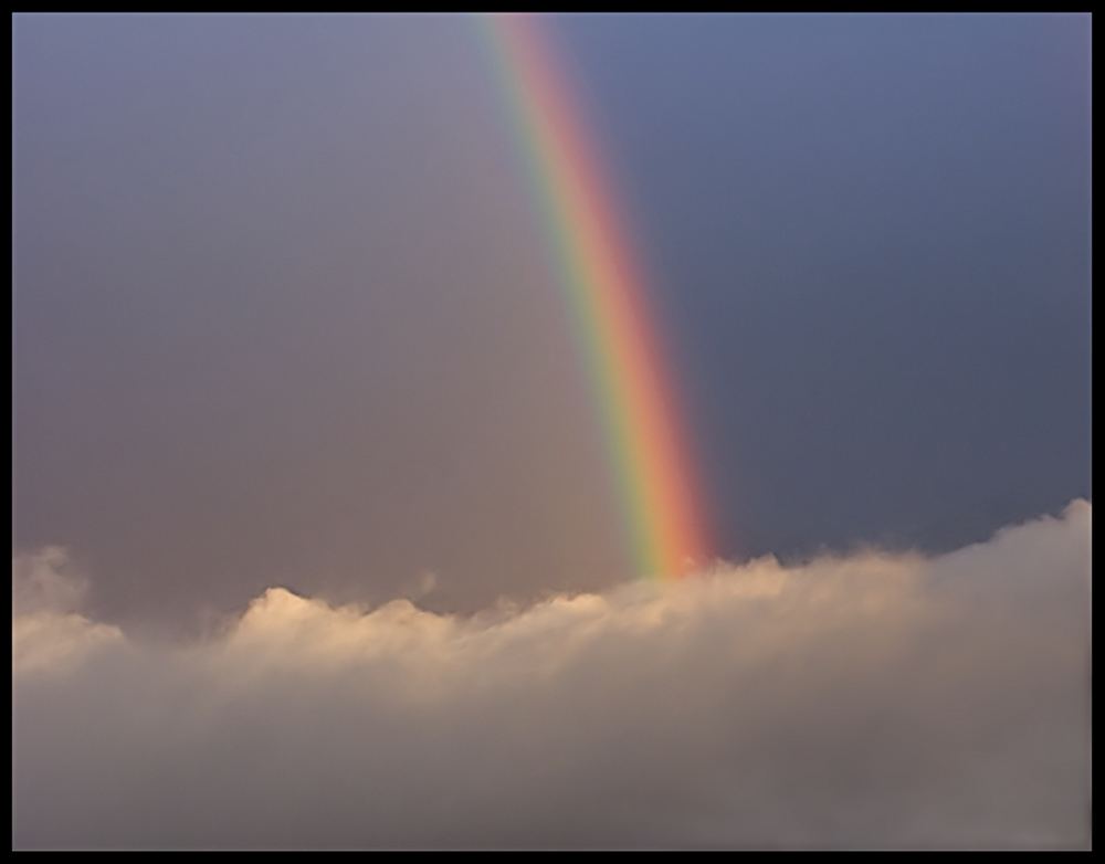 Regenbogen trifft Nebel