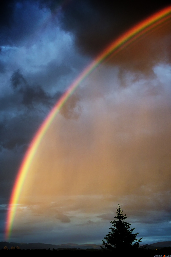 Regenbogen über Bern