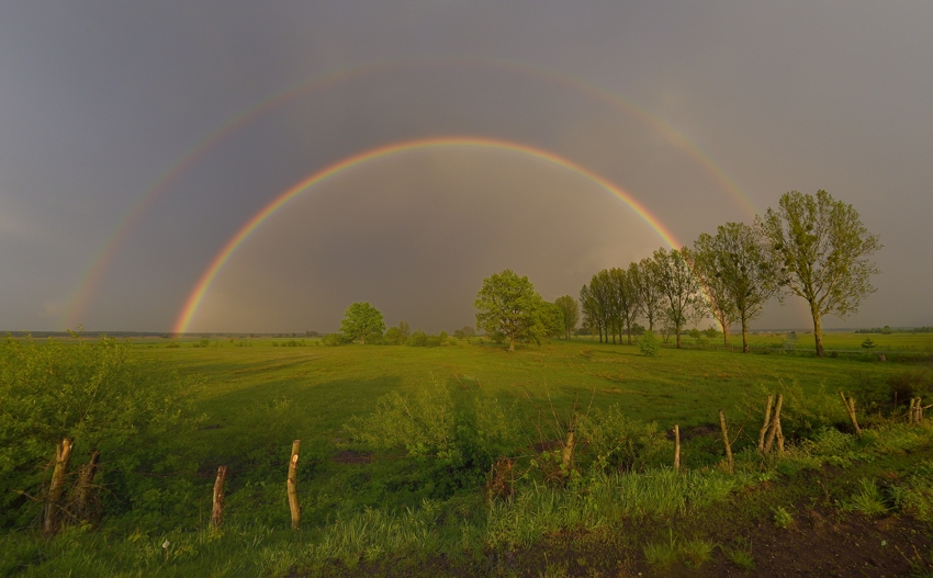 Regenbogen über Biebrza Nationalpark