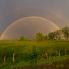 Regenbogen über Biebrza Nationalpark