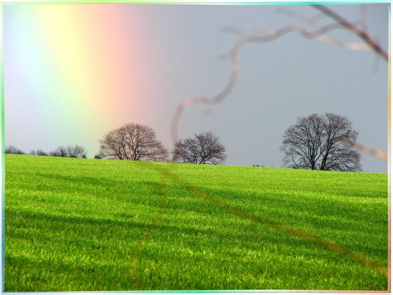 Regenbogen über Birkholz