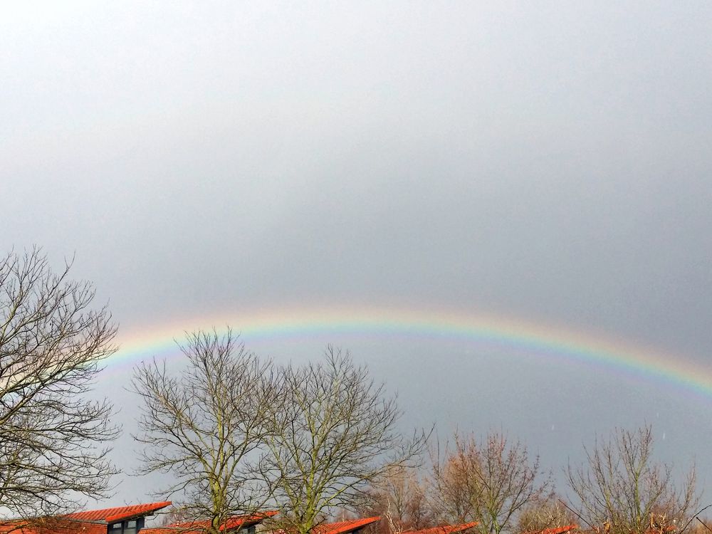 Regenbogen über Dächern