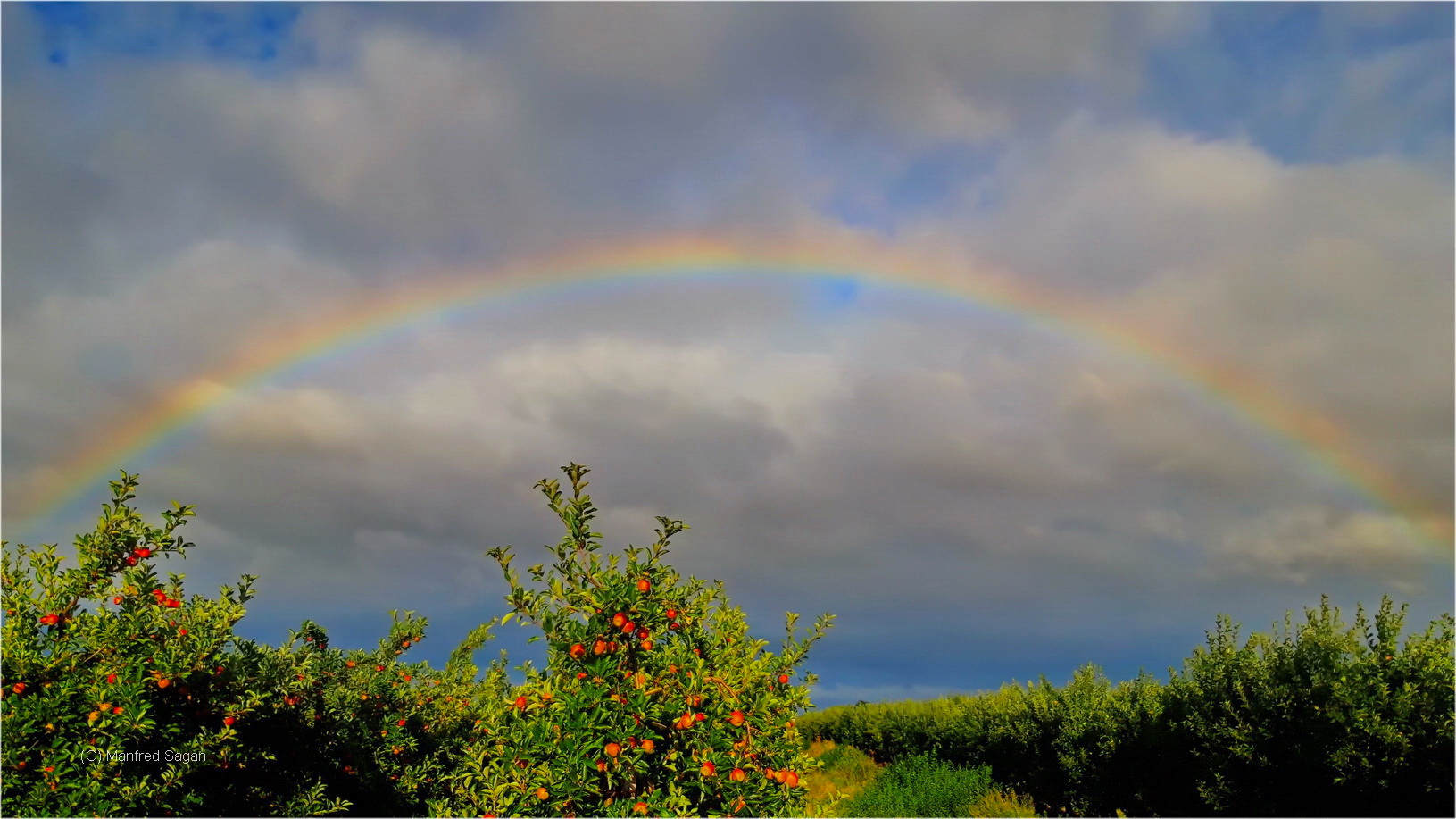 Regenbogen über dem Alten Land