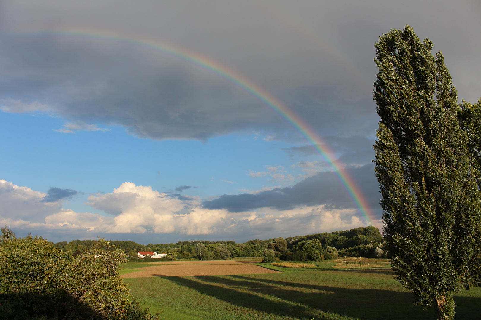 Regenbogen über dem Feld