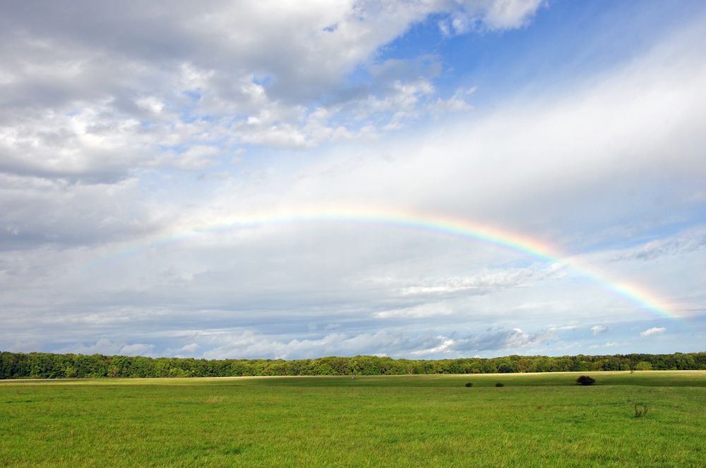 Regenbogen über dem Hainich (TH)