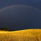 Regenbogen über dem Hohentwiel