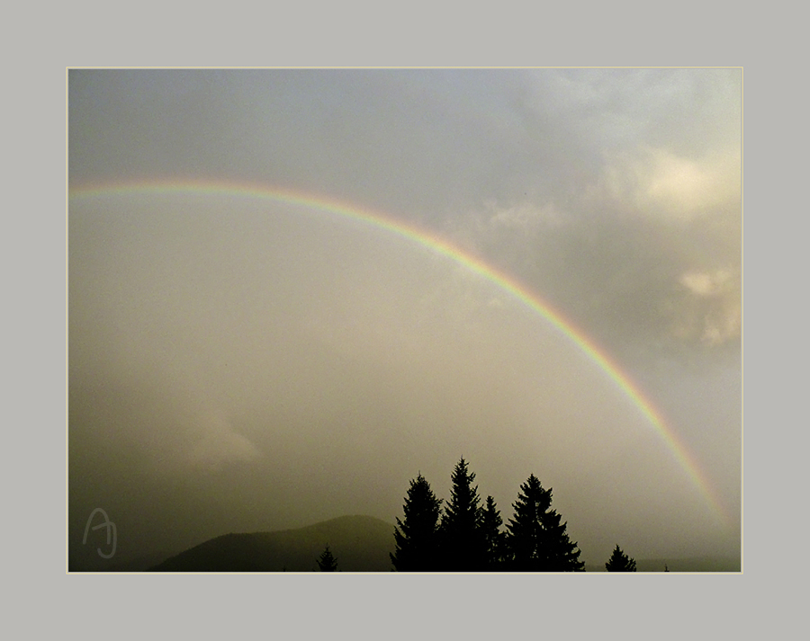 Regenbogen über dem Lammertal