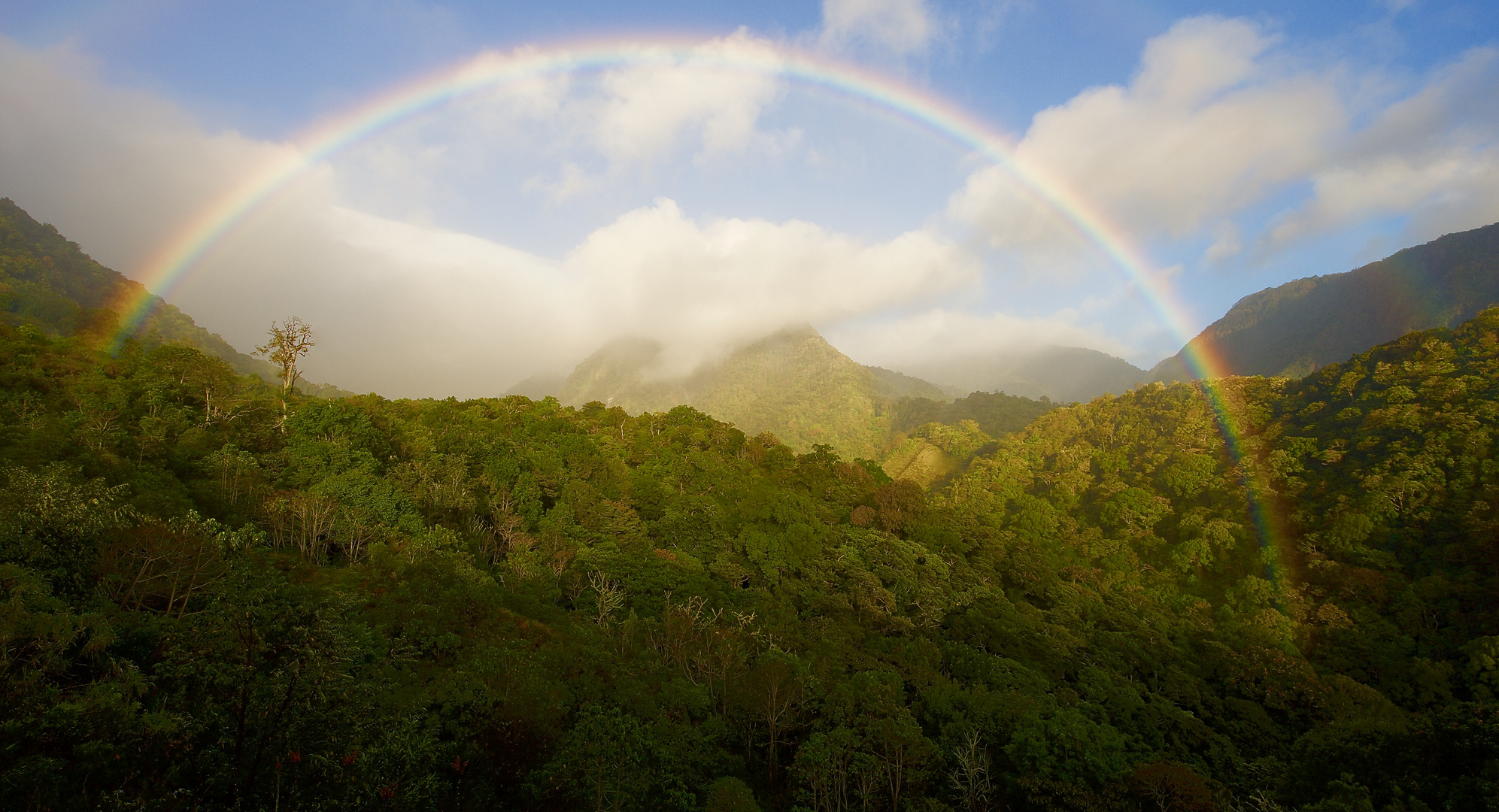 Regenbogen über dem Nebelwald vom Amistad-Biosphärenreservat in Panama