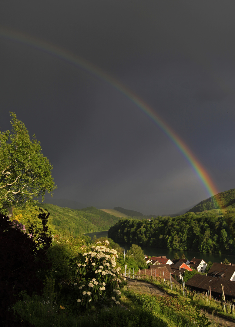 Regenbogen über dem Rhein