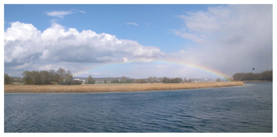 Regenbogen über dem Seerhein bei Gottlieben