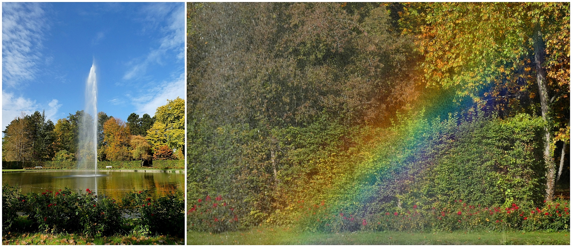 Regenbogen über dem Teich