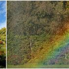 Regenbogen über dem Teich