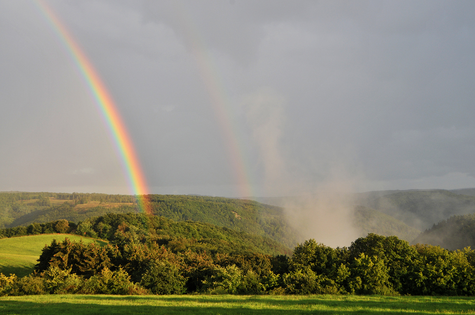 Regenbogen über dem Wispertal