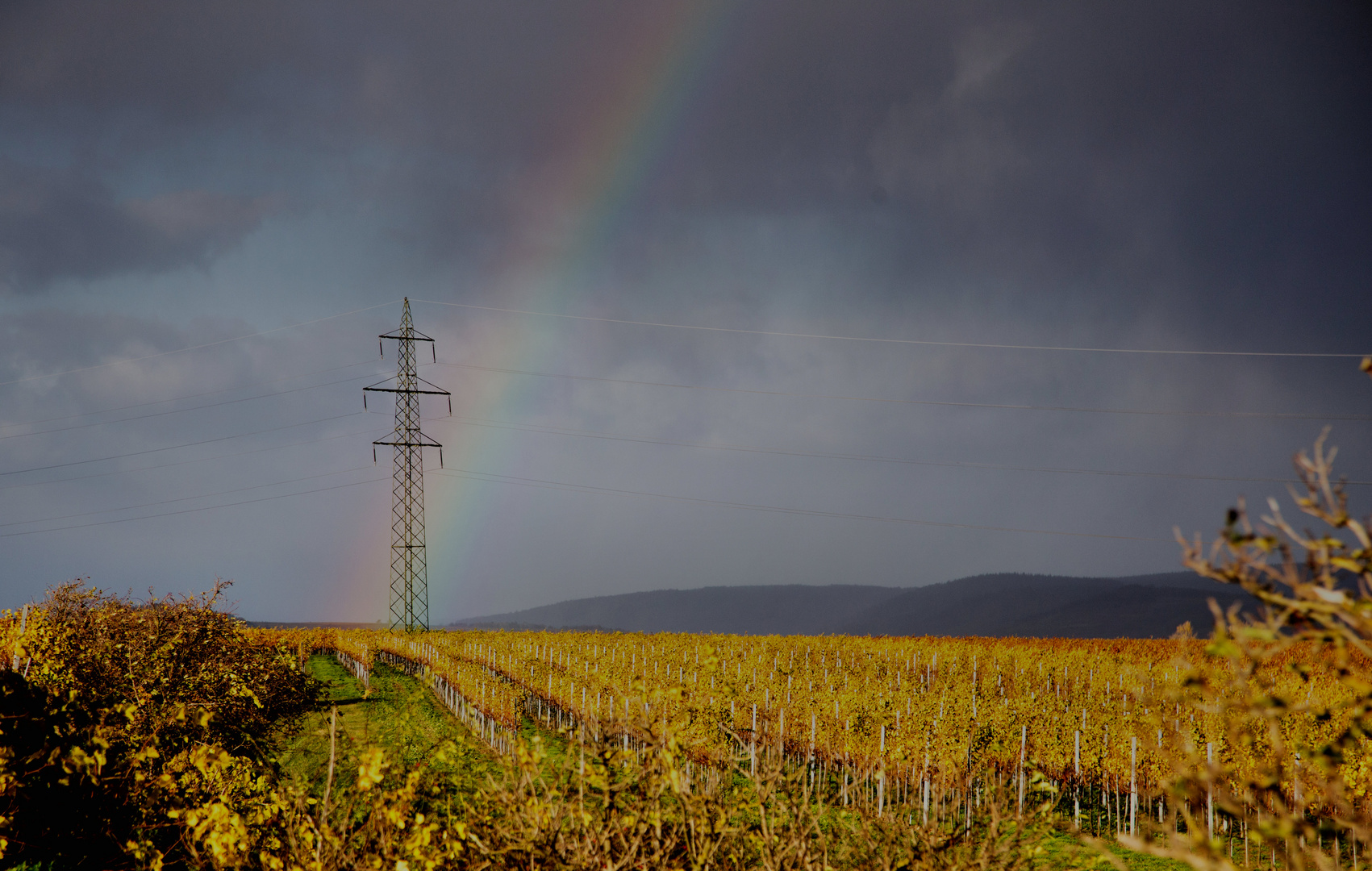 Regenbogen über den