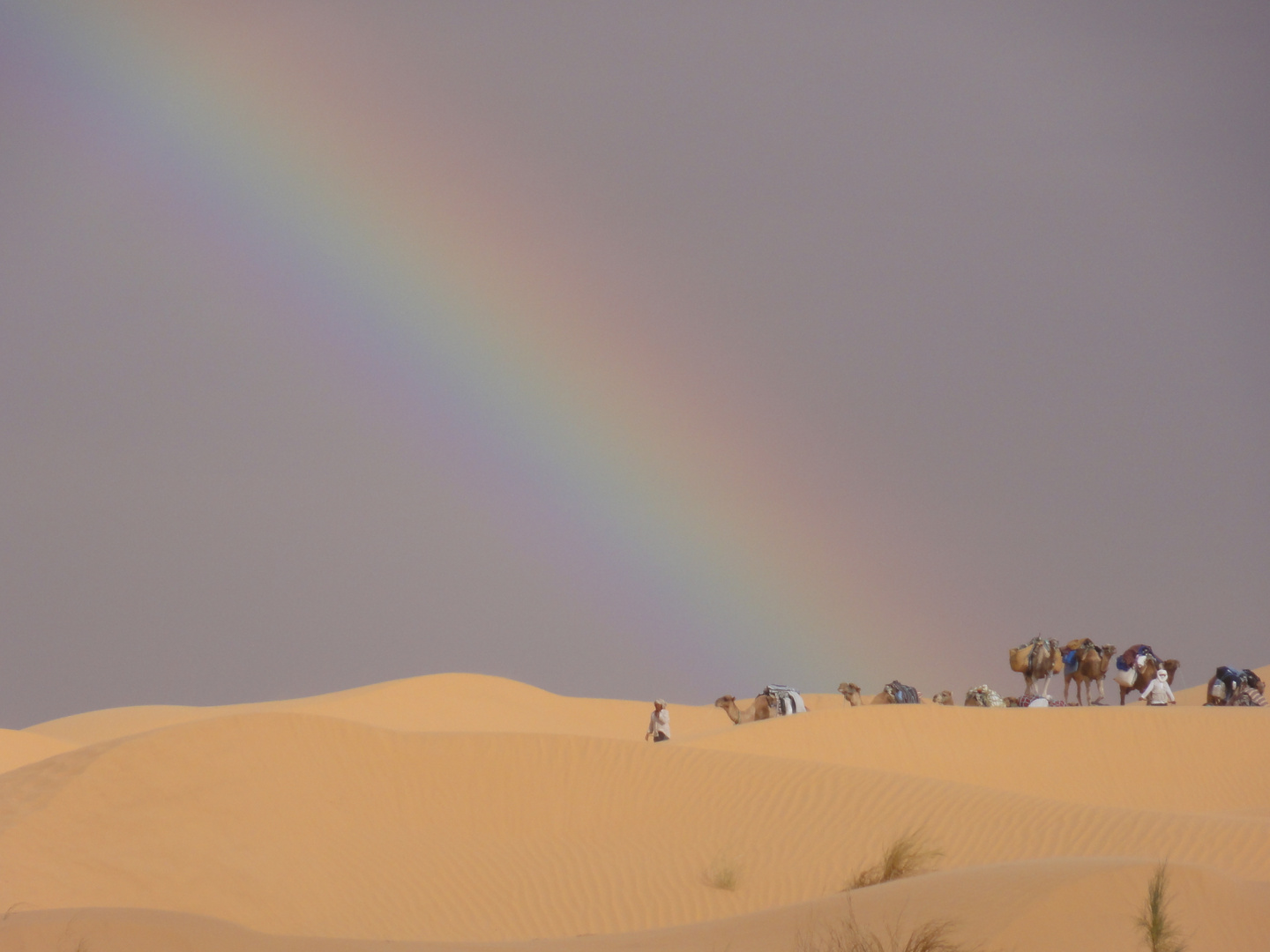 Regenbogen über den Dünen