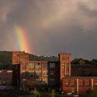 Regenbogen über der "alten Baumwolle"