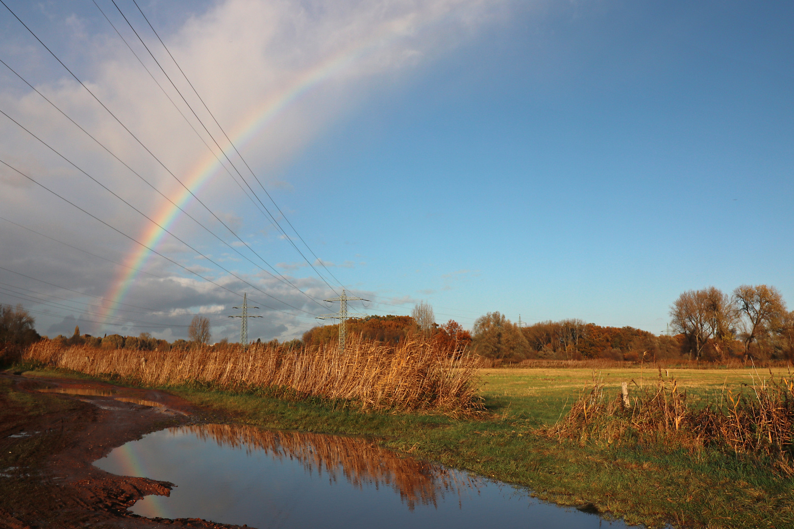 Regenbogen über der Aue