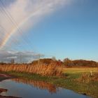 Regenbogen über der Aue