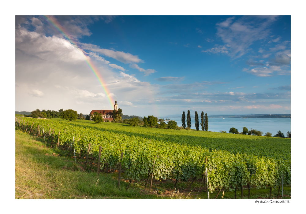 Regenbogen über der Birnau