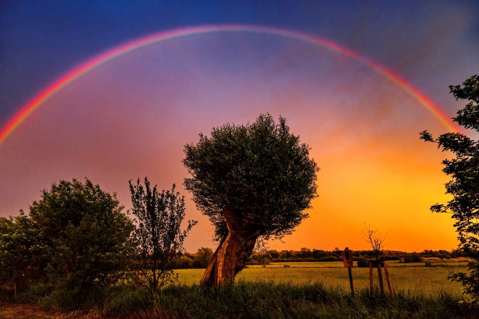 Regenbogen Uber Der Doberitzer Heide Foto Bild Natur Landschaft Regenbogen Bilder Auf Fotocommunity
