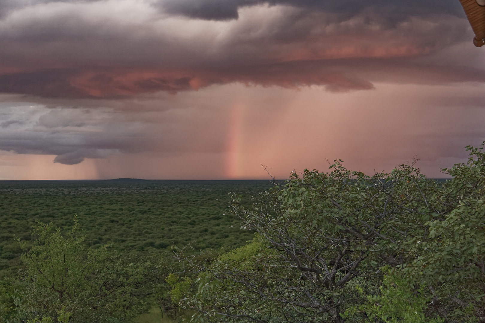 Regenbogen über der Etosha Pfanne