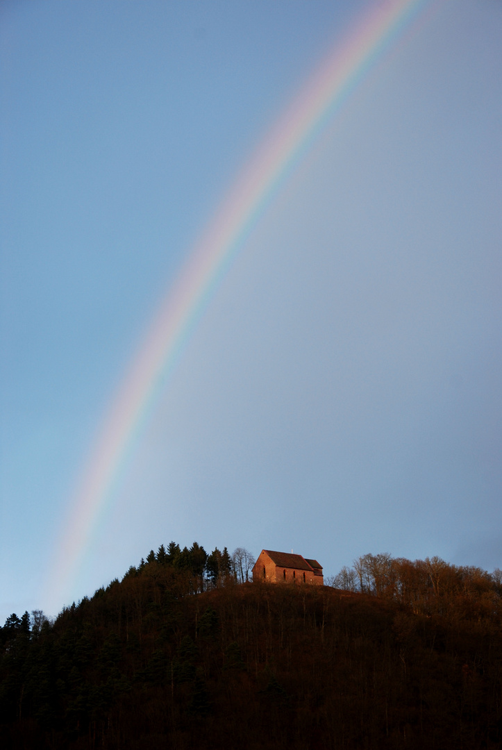 Regenbogen über der Gotthardsruine Amorbach