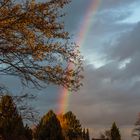 Regenbogen über der Heimaterde