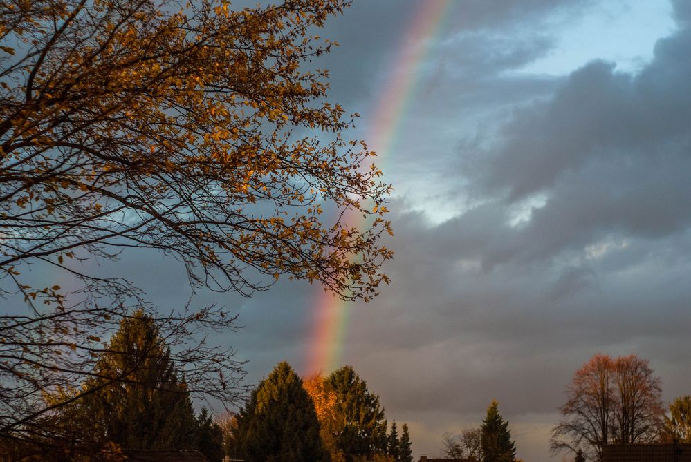 Regenbogen über der Heimaterde