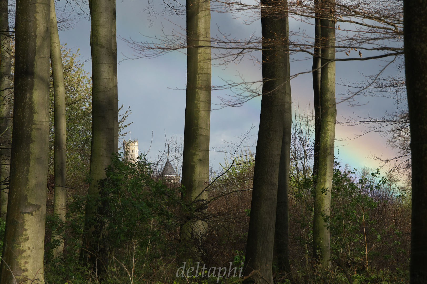 Regenbogen über der Marienburg