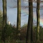 Regenbogen über der Marienburg