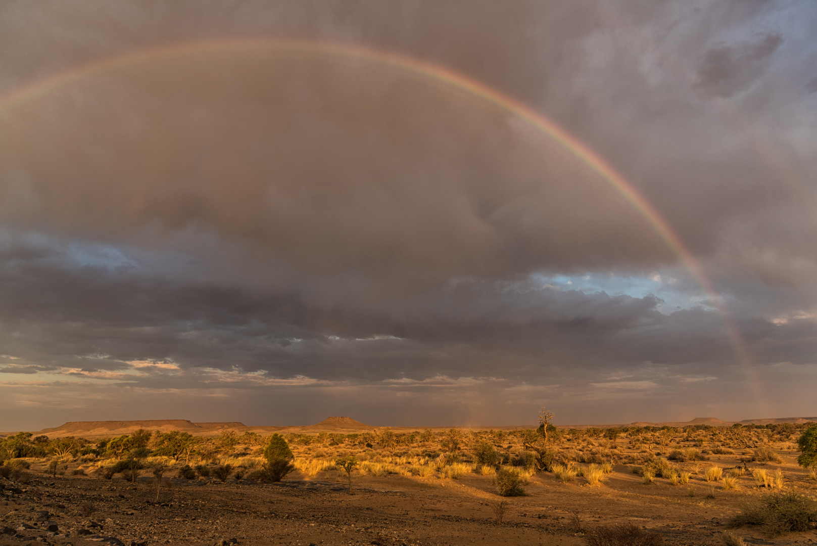 Regenbogen über der Namib