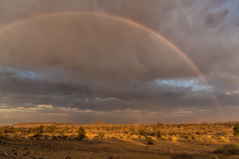 Regenbogen über der Namib