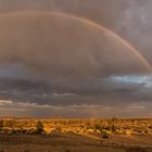 Regenbogen über der Namib