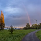 Regenbogen über der Rügenbrücke