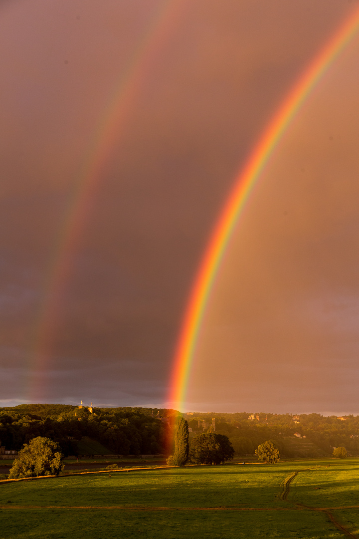 Regenbogen über Dresden (2)