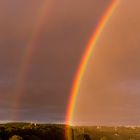 Regenbogen über Dresden (2)