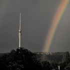 Regenbogen über Dresden