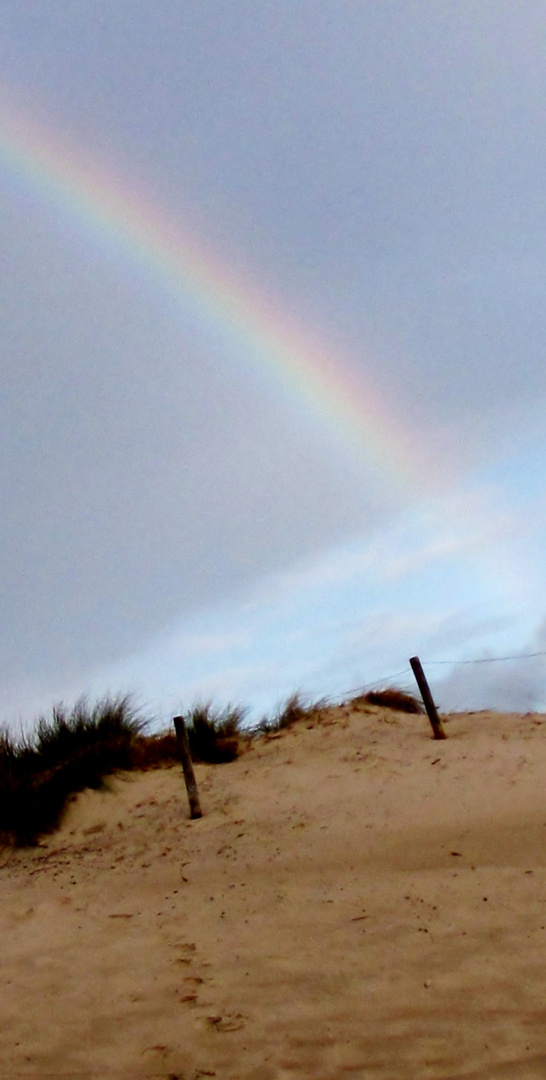 Regenbogen über Dünen & Meer