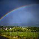 Regenbogen über Ettenheim