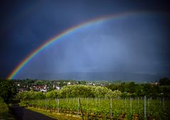 Regenbogen über Ettenheim