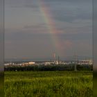 Regenbogen über Frankfurt-Höchst