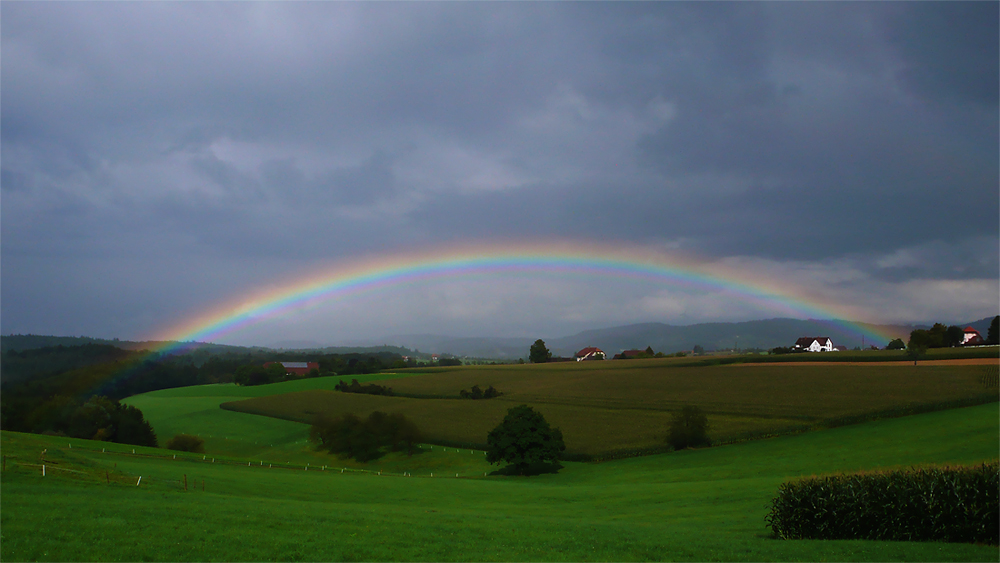 Regenbogen über Freiamt