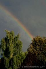 Regenbogen über Gelsenkirchen (2) am 25.06.2007