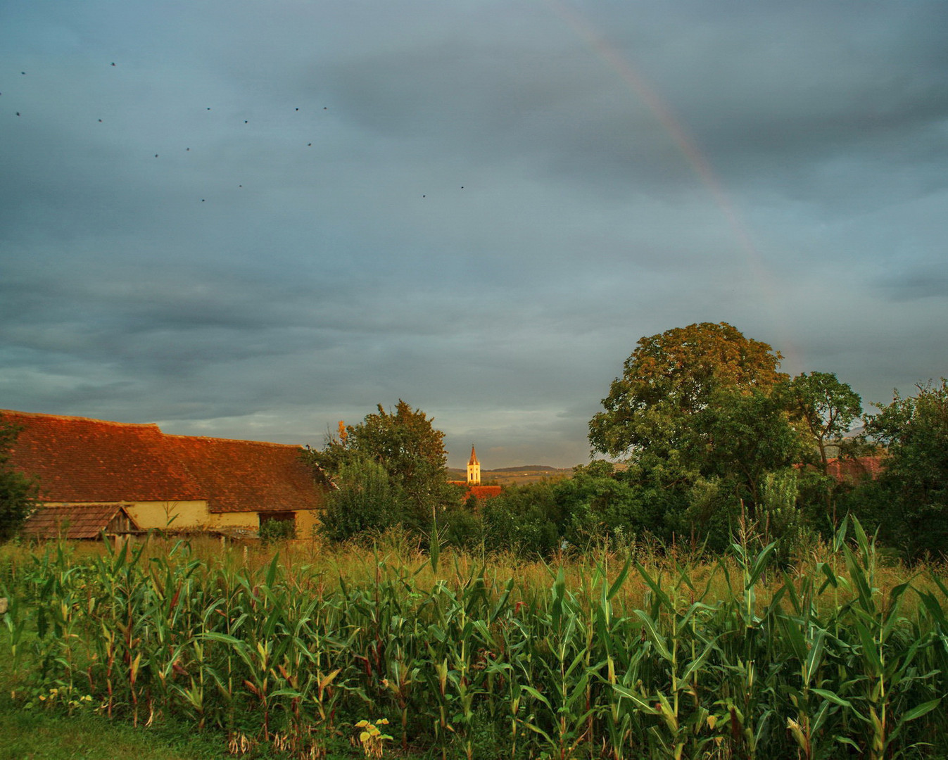 Regenbogen über Großpold- Apoldu des Sus