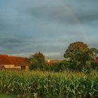 Regenbogen über Großpold- Apoldu des Sus