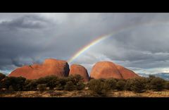 Regenbogen über Kata Tjuta