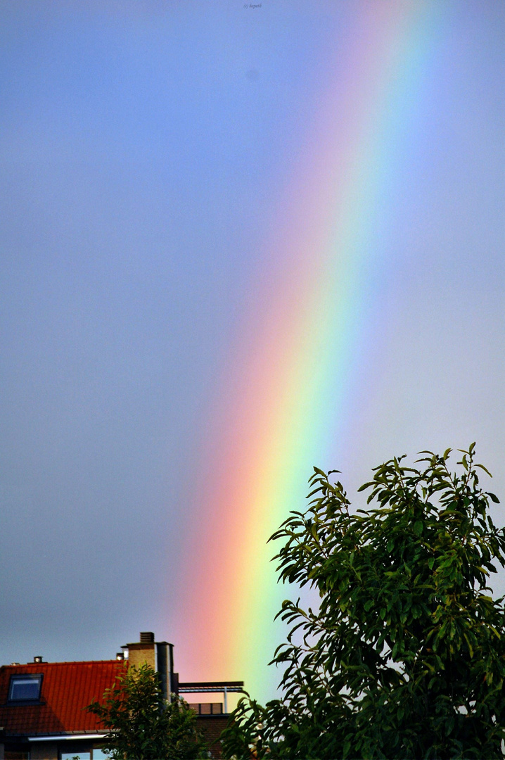 Regenbogen über Knokke-Heist