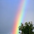 Regenbogen über Knokke-Heist