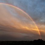 Regenbogen über Magdeburg